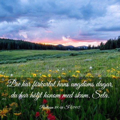 Picture 03 - Psaltaren 89:46 SV1917 - Du har förkortat hans ungdoms dagar, du har - Bible Verse Picture