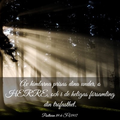 Picture 03 - Psaltaren 89:6 SV1917 - Av himlarna prisas dina under, o HERRE, och i de - Bible Verse Picture