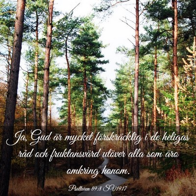 Picture 03 - Psaltaren 89:8 SV1917 - Ja, Gud är mycket förskräcklig i de heligas - Bible Verse Picture