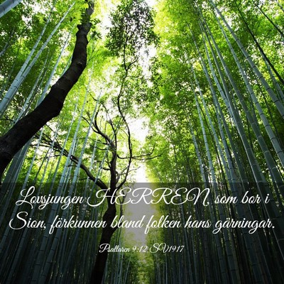 Picture 03 - Psaltaren 9:12 SV1917 - Lovsjungen HERREN, som bor i Sion, förkunnen - Bible Verse Picture