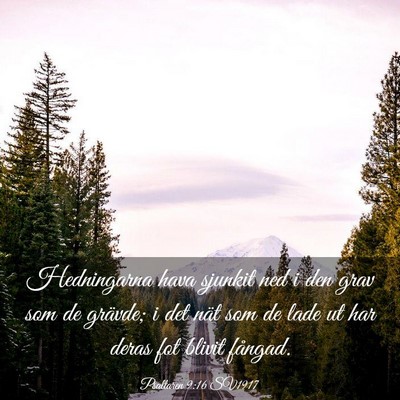 Picture 03 - Psaltaren 9:16 SV1917 - Hedningarna hava sjunkit ned i den grav som de - Bible Verse Picture
