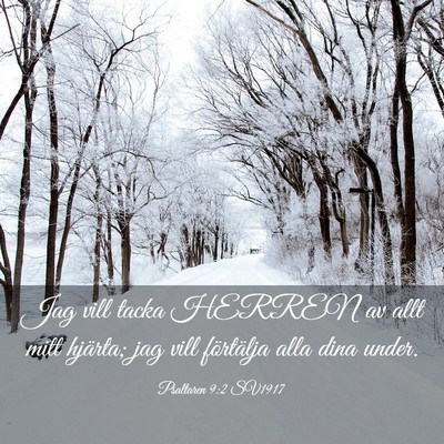 Picture 03 - Psaltaren 9:2 SV1917 - Jag vill tacka HERREN av allt mitt hjärta; jag - Bible Verse Picture