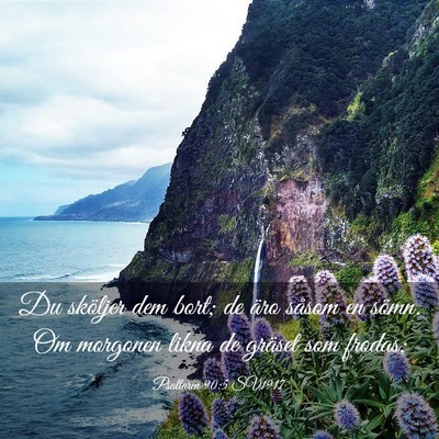 Picture 03 - Psaltaren 90:5 SV1917 - Du sköljer dem bort; de äro såsom en sömn. Om - Bible Verse Picture