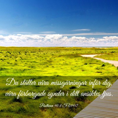 Picture 03 - Psaltaren 90:8 SV1917 - Du ställer våra missgärningar inför dig, - Bible Verse Picture