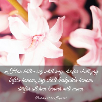Picture 03 - Psaltaren 91:14 SV1917 - »Han håller sig intill mig, därför skall jag - Bible Verse Picture