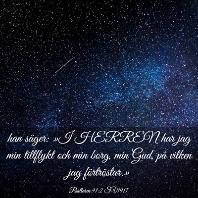 Picture 03 - Psaltaren 91:2 SV1917 - han säger: »I HERREN har jag min tillflykt och - Bible Verse Picture