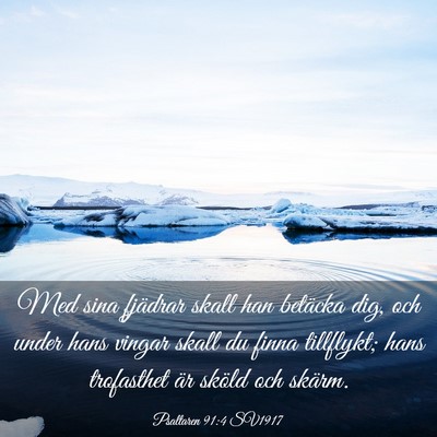 Picture 03 - Psaltaren 91:4 SV1917 - Med sina fjädrar skall han betäcka dig, och - Bible Verse Picture