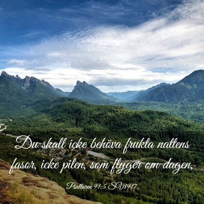 Picture 03 - Psaltaren 91:5 SV1917 - Du skall icke behöva frukta nattens fasor, icke - Bible Verse Picture