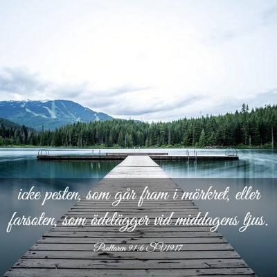 Picture 03 - Psaltaren 91:6 SV1917 - icke pesten, som går fram i mörkret, eller - Bible Verse Picture