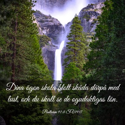 Picture 03 - Psaltaren 91:8 SV1917 - Dina ögon skola blott skåda därpå med lust, - Bible Verse Picture
