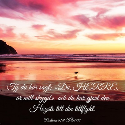 Picture 03 - Psaltaren 91:9 SV1917 - Ty du har sagt: »Du, HERRE, är mitt skygd», - Bible Verse Picture