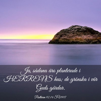 Picture 03 - Psaltaren 92:14 SV1917 - Ja, sådana äro planterade i HERRENS hus; de - Bible Verse Picture