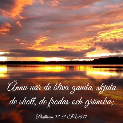 Picture 03 - Psaltaren 92:15 SV1917 - Ännu när de bliva gamla, skjuta de skott, de - Bible Verse Picture