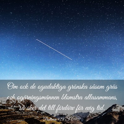 Picture 03 - Psaltaren 92:8 SV1917 - Om ock de ogudaktiga grönska såsom gräs och - Bible Verse Picture