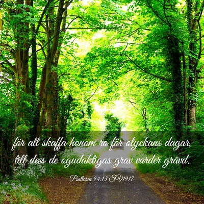Picture 03 - Psaltaren 94:13 SV1917 - för att skaffa honom ro för olyckans dagar, - Bible Verse Picture
