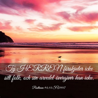 Picture 03 - Psaltaren 94:14 SV1917 - Ty HERREN förskjuter icke sitt folk, och sin - Bible Verse Picture