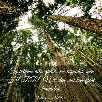 Picture 03 - Psaltaren 96:5 SV1917 - Ty folkens alla gudar äro avgudar, men HERREN - Bible Verse Picture