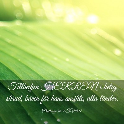 Picture 03 - Psaltaren 96:9 SV1917 - Tillbedjen HERREN i helig skrud, bäven för hans - Bible Verse Picture