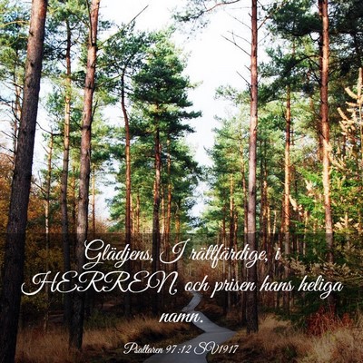 Picture 03 - Psaltaren 97:12 SV1917 - Glädjens, I rättfärdige, i HERREN, och prisen - Bible Verse Picture