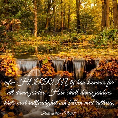 Picture 03 - Psaltaren 98:9 SV1917 - inför HERREN, ty han kommer för att döma - Bible Verse Picture