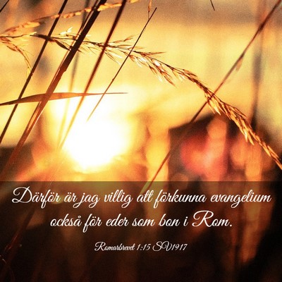 Picture 03 - Romarbrevet 1:15 SV1917 - Därför är jag villig att förkunna evangelium - Bible Verse Picture