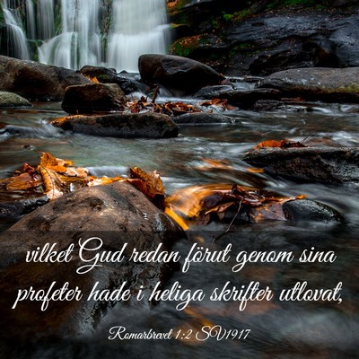 Picture 03 - Romarbrevet 1:2 SV1917 - vilket Gud redan förut genom sina profeter hade - Bible Verse Picture