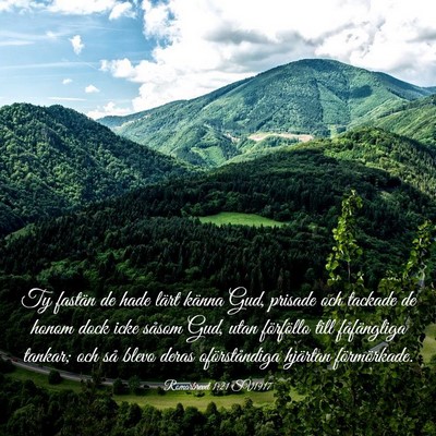 Picture 03 - Romarbrevet 1:21 SV1917 - Ty fastän de hade lärt känna Gud, prisade och - Bible Verse Picture