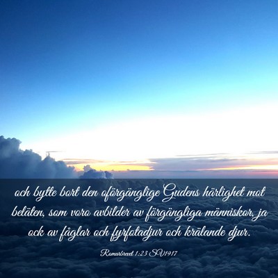 Picture 03 - Romarbrevet 1:23 SV1917 - och bytte bort den oförgänglige Gudens - Bible Verse Picture
