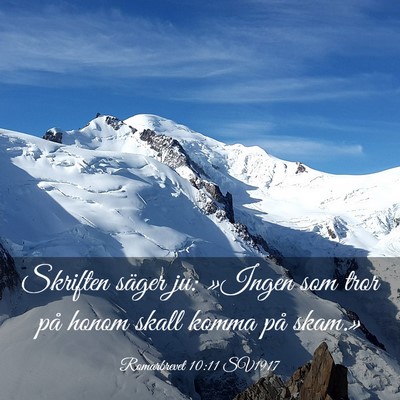 Picture 03 - Romarbrevet 10:11 SV1917 - Skriften säger ju: »Ingen som tror på honom - Bible Verse Picture