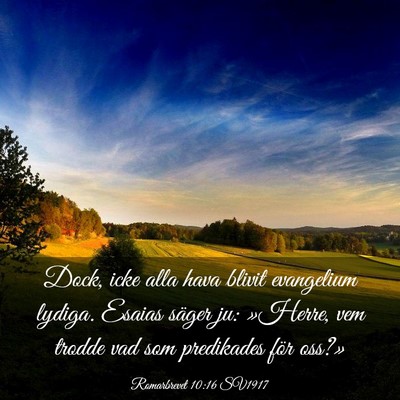 Picture 03 - Romarbrevet 10:16 SV1917 - Dock, icke alla hava blivit evangelium lydiga. - Bible Verse Picture