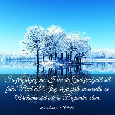 Picture 03 - Romarbrevet 11:1 SV1917 - Så frågar jag nu: Har då Gud förskjutit sitt - Bible Verse Picture