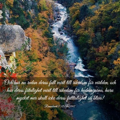 Picture 03 - Romarbrevet 11:12 SV1917 - Och har nu redan deras fall varit till rikedom - Bible Verse Picture