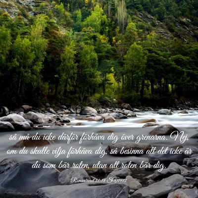 Picture 03 - Romarbrevet 11:18 SV1917 - så må du icke därför förhäva dig över - Bible Verse Picture
