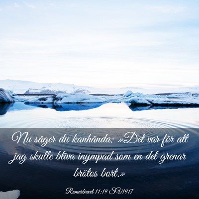Picture 03 - Romarbrevet 11:19 SV1917 - Nu säger du kanhända: »Det var för att jag - Bible Verse Picture