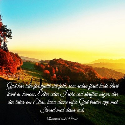 Picture 03 - Romarbrevet 11:2 SV1917 - Gud har icke förskjutit sitt folk, som redan - Bible Verse Picture