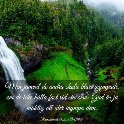 Picture 03 - Romarbrevet 11:23 SV1917 - Men jämväl de andra skola bliva inympade, om de - Bible Verse Picture