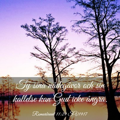 Picture 03 - Romarbrevet 11:29 SV1917 - Ty sina nådegåvor och sin kallelse kan Gud icke - Bible Verse Picture