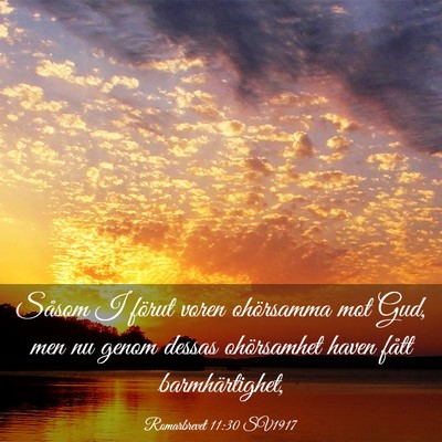 Picture 03 - Romarbrevet 11:30 SV1917 - Såsom I förut voren ohörsamma mot Gud, men nu - Bible Verse Picture