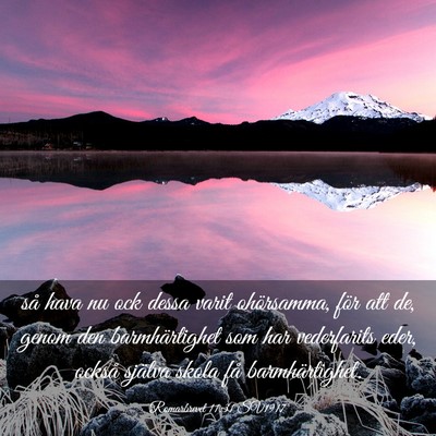 Picture 03 - Romarbrevet 11:31 SV1917 - så hava nu ock dessa varit ohörsamma, för att - Bible Verse Picture