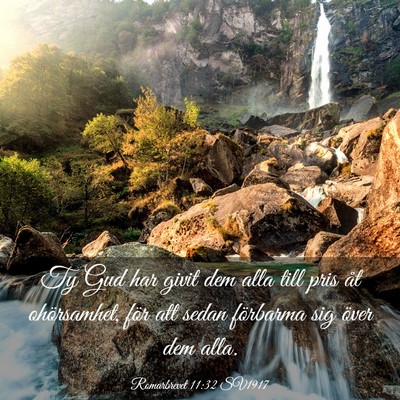 Picture 03 - Romarbrevet 11:32 SV1917 - Ty Gud har givit dem alla till pris åt - Bible Verse Picture