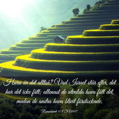 Picture 03 - Romarbrevet 11:7 SV1917 - Huru är det alltså? Vad Israel står efter, det - Bible Verse Picture