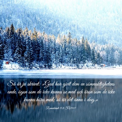 Picture 03 - Romarbrevet 11:8 SV1917 - Så är ju skrivet: »Gud har givit dem en - Bible Verse Picture