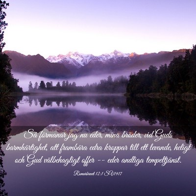 Picture 03 - Romarbrevet 12:1 SV1917 - Så förmanar jag nu eder, mina bröder, vid Guds - Bible Verse Picture