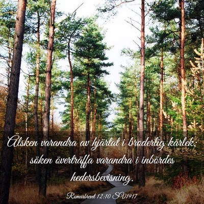 Picture 03 - Romarbrevet 12:10 SV1917 - Älsken varandra av hjärtat i broderlig kärlek; - Bible Verse Picture