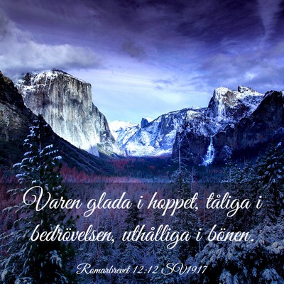 Picture 03 - Romarbrevet 12:12 SV1917 - Varen glada i hoppet, tåliga i bedrövelsen, - Bible Verse Picture