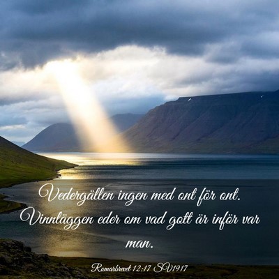 Picture 03 - Romarbrevet 12:17 SV1917 - Vedergällen ingen med ont för ont. Vinnläggen - Bible Verse Picture