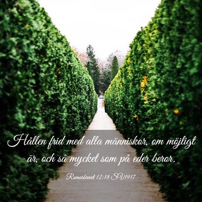 Picture 03 - Romarbrevet 12:18 SV1917 - Hållen frid med alla människor, om möjligt - Bible Verse Picture