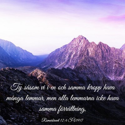 Picture 03 - Romarbrevet 12:4 SV1917 - Ty såsom vi i en och samma kropp hava många - Bible Verse Picture