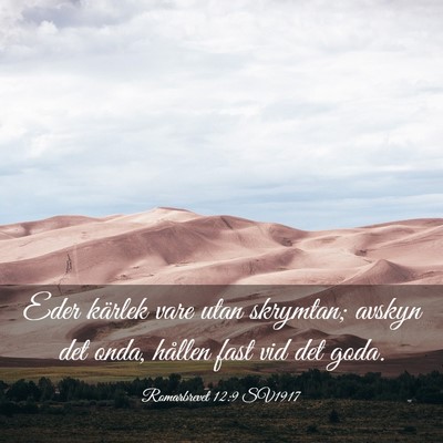 Picture 03 - Romarbrevet 12:9 SV1917 - Eder kärlek vare utan skrymtan; avskyn det onda, - Bible Verse Picture