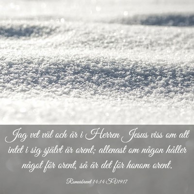 Picture 03 - Romarbrevet 14:14 SV1917 - Jag vet väl och är i Herren Jesus viss om att - Bible Verse Picture